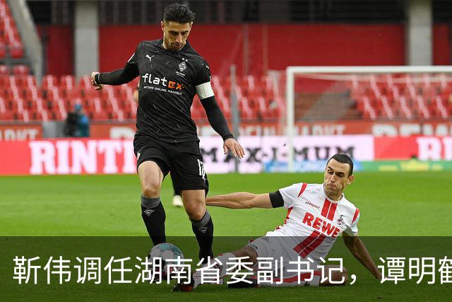 靳伟调任湖南省委副书记，谭明鹤获任广州市委常委兼秘书长